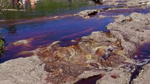 Natural River Movement Over Rocks In A Deep Red And Blue Water Stock Footage 332725715