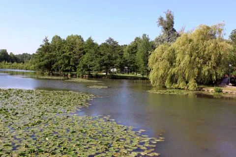 A natural river Foto stock