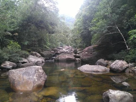 Natural river Foto stock