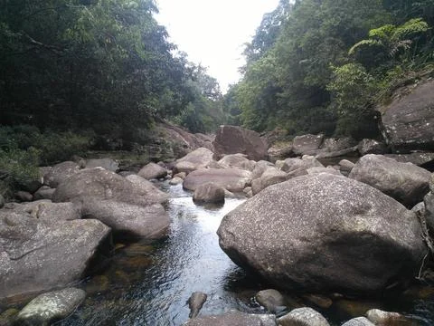 Natural river Foto stock