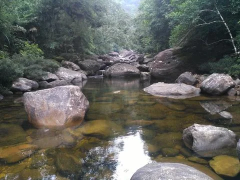 Natural river Foto stock