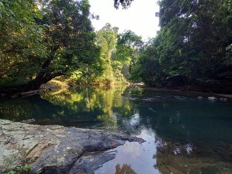 Natural River Stock Photos