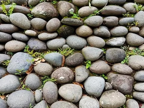 Natural River Stone Wall Texture with Rounded Pebbles Pattern Rustic Rock Stock Photos