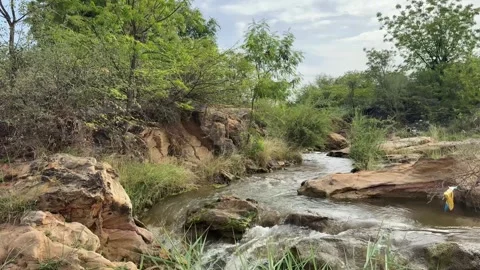 Natural River Stream Flowing Through Rocks in Rural India Landscape Stock Footage 331800478