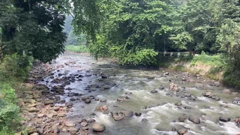 Natural river stream in tropical forest in Asia Stock Footage 287309313
