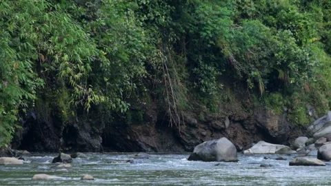 Natural river view with large rocks and natural vegetation Stock Footage 292839257