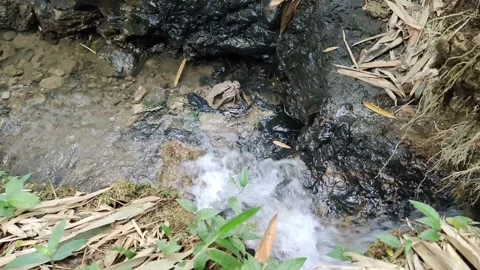 Natural river water flow Stock Footage 221497922