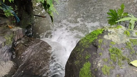 Natural river water flow Stock Footage 221498291