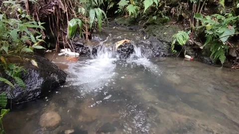 Natural river water flow Stock Footage 221498297