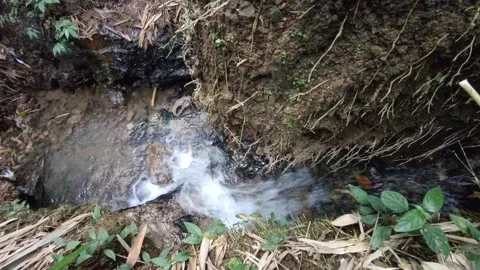 Natural river water flow Stock Footage 221498341