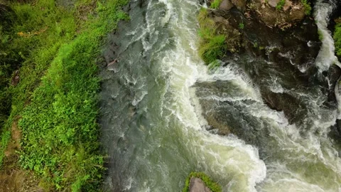 Natural river water flow in the forest Stock Footage 292592115