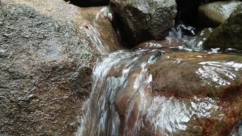 Natural River Water Flowing Over Rocks in Forest Stream Close Up Stock Footage 329818628