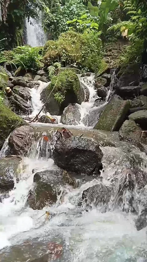 Natural river water flows through rocky crevices Stock Footage 227470123