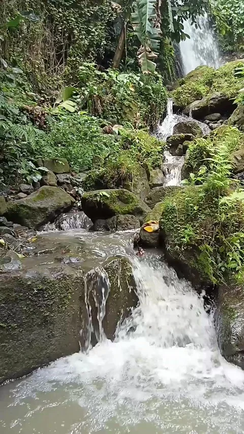 Natural river water flows through rocky crevices Stock Footage 227470158
