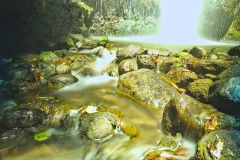 Natural rivers Stock Photos