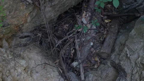 Natural Rock Formation and Vegetation in Warrandyte Mining Hole, Melbourne Stock Footage 328811186