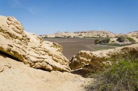 Natural rock formations and sparse vegetation at Lake Arco in Namib Desert Foto stock