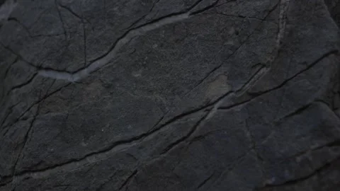 Natural Rock Surface with Subtle Fissures in Low Light Stock Footage 289638882