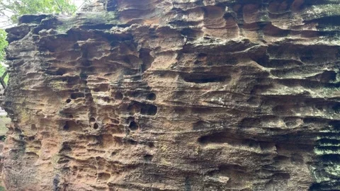 Natural Rock Surface Texture in Sikharchandi Hill, Bhubaneswar 库存影片 343802769