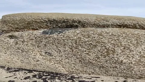 Natural Rock Texture with Stone Surface 4K Stock Footage 335957512