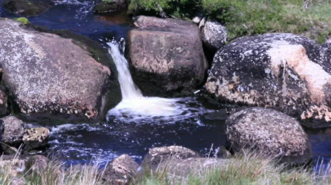 Natural rockpool Video stock 859026