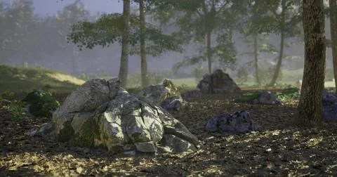 Natural rocks surrounded by trees and fallen leaves in a misty landscape Stock Illustration