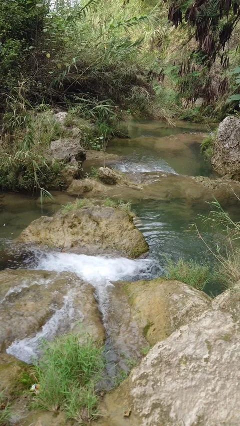 Natural Rocky Stream Flowing Through Peaceful Forest - 4k  Vertical Footage Stock Footage 344291551