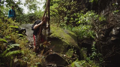 Natural Rope Swing Stock Footage 75259274