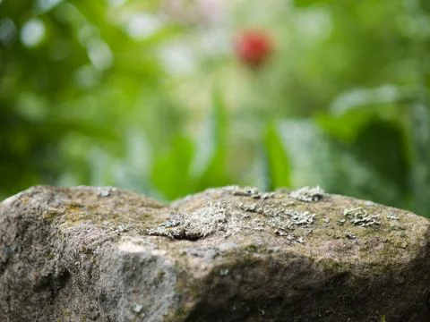 Natural rough stone with moss serving as an empty podium for product Stock Photos