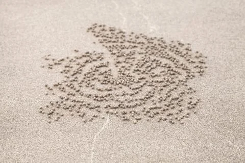 Natural round pattern with small balls Stock Photos