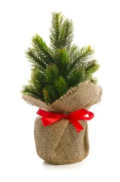 Natural rustic decoration Stock Photos
