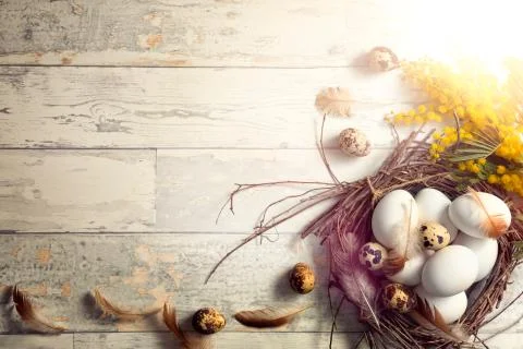 Natural rustic Easter panoramic banner Stock Photos