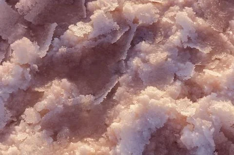 Natural Salt Crust Surface Pattern On Salty Lake Texture With Mineral Deposit Stock Photos