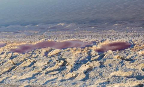 Natural Salt Crust Surface Pattern On Salty Lake Texture With Mineral Deposit Stock Photos
