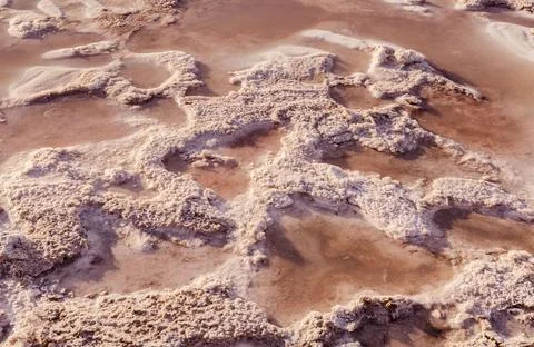 Natural Salt Crust Surface Pattern On Salty Lake Texture With Mineral Deposit Stock Photos