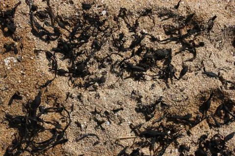 Natural sand Stock Photos