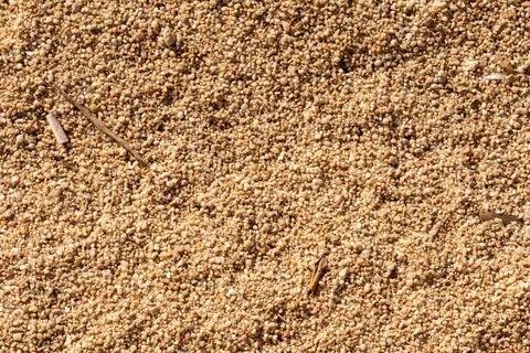Natural sand texture surface on beach with some thrash on it Stock Photos