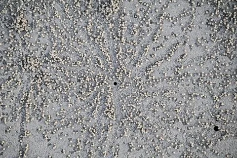 Natural sandy beach pattern formed by hardworking small crabs Foto stock