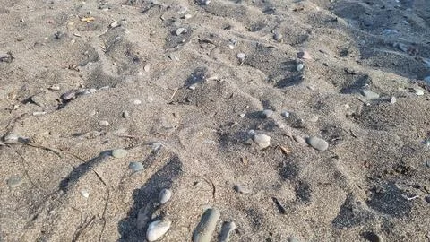 Natural sandy beach texture with small pebbles Stock Photos