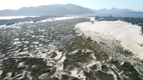 Natural sandy landscape on the coast Video stock 261301931