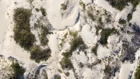 Natural sandy landscape on the coast Stock Footage 261302017
