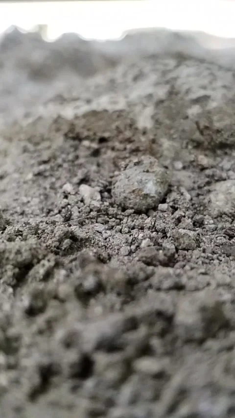 Natural sandy soil texture Stock Footage 343071848