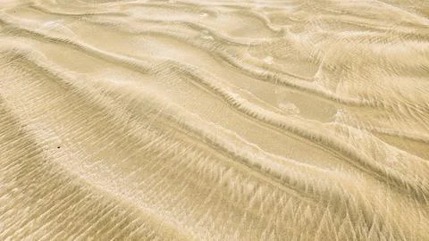 A natural sandy wavy pattern in calm colors, which can be used as an abstract Stock Photos