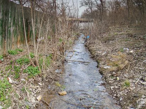 A natural scene featuring a small stream or river flanked by vegetation, po.. Stock Photos