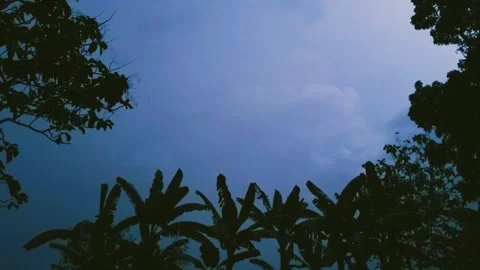 Natural Scenery Stock Footage 206742268