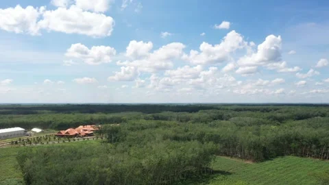 Natural scenery Stock-Footage 272713814