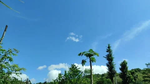 Natural scenery Stock Footage 311980876