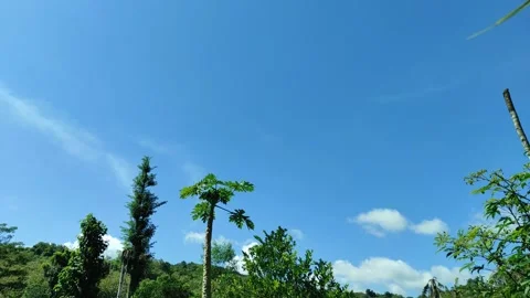 Natural scenery Stock Footage 311981329