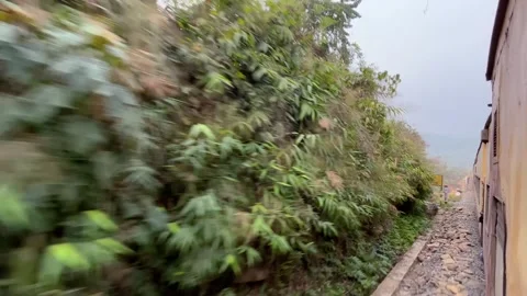 Natural scenery from inside the train outside. Stock Footage 305256038