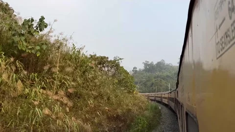 Natural scenery from inside the train outside. Stock Footage 305256372